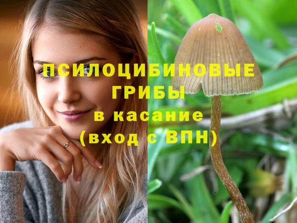 стаф Белоозёрский
