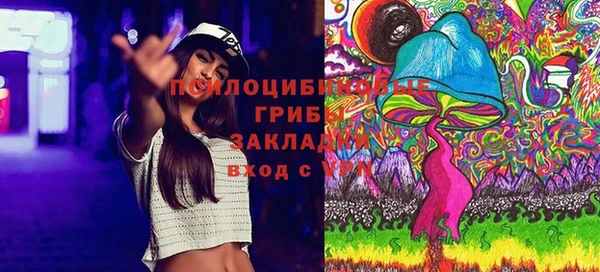 стаф Белоозёрский