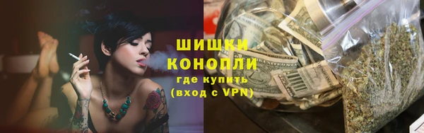 соль ск Белокуриха