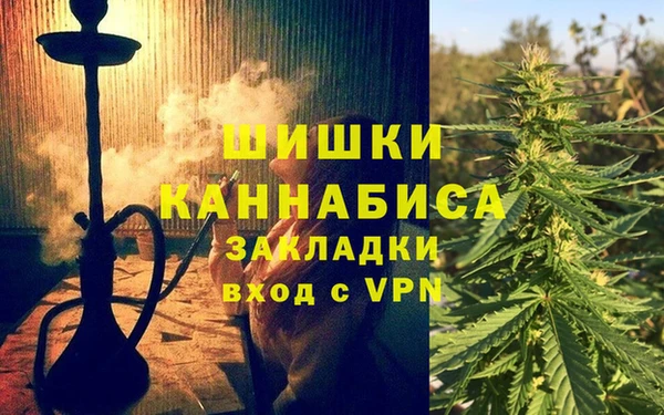 соль ск Белокуриха