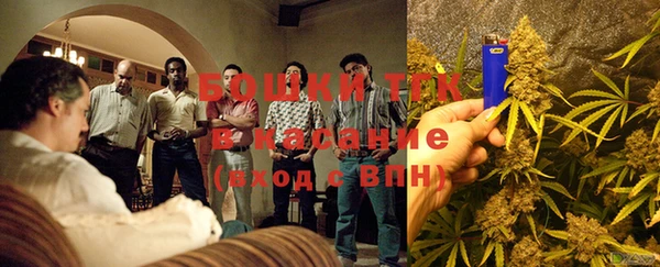 стаф Белоозёрский