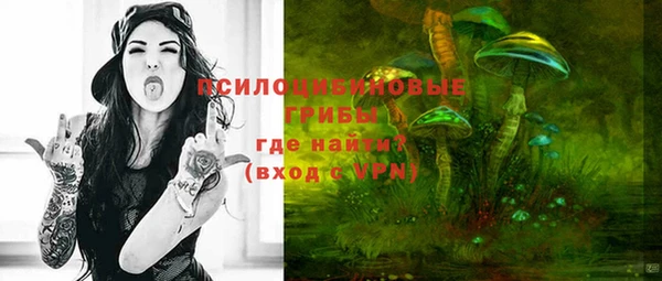 стаф Белоозёрский