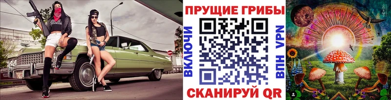 Псилоцибиновые грибы прущие грибы  дарк нет какой сайт  Ковылкино  наркотики 