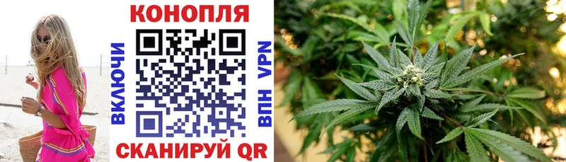 как найти закладки  Ковылкино  Бошки Шишки SATIVA & INDICA 